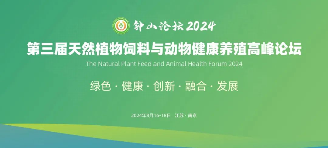 2026世界杯官网