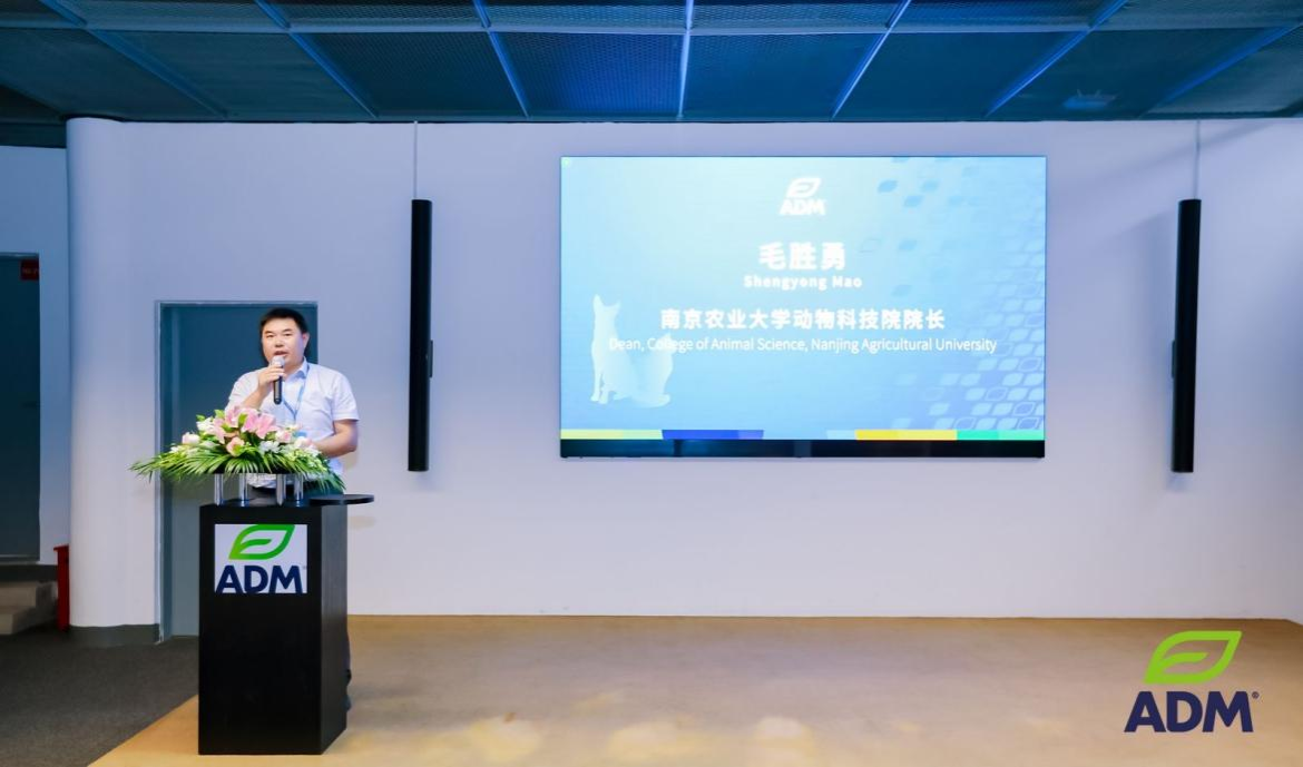 2026世界杯官网