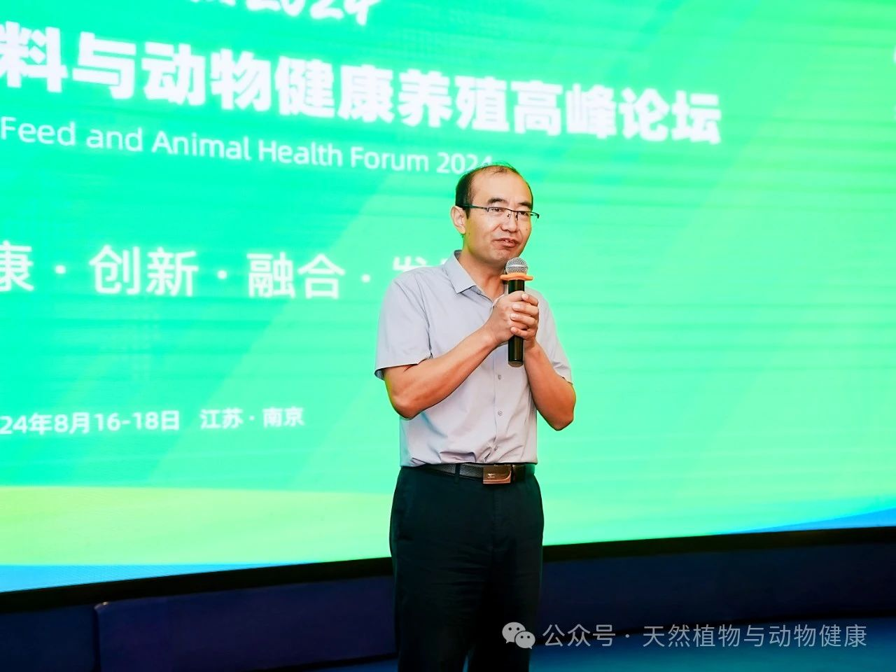 2026世界杯官网