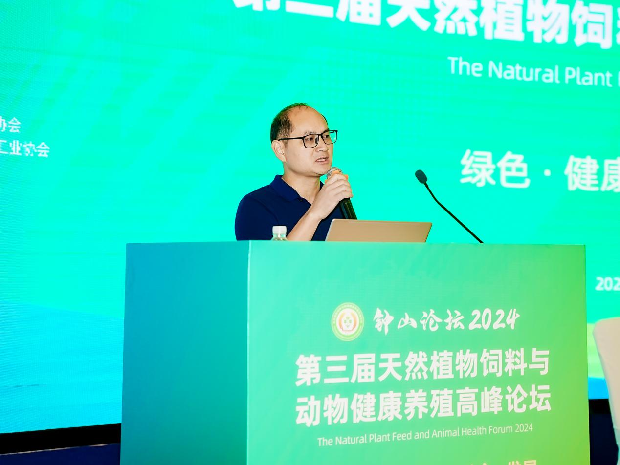 2026世界杯官网