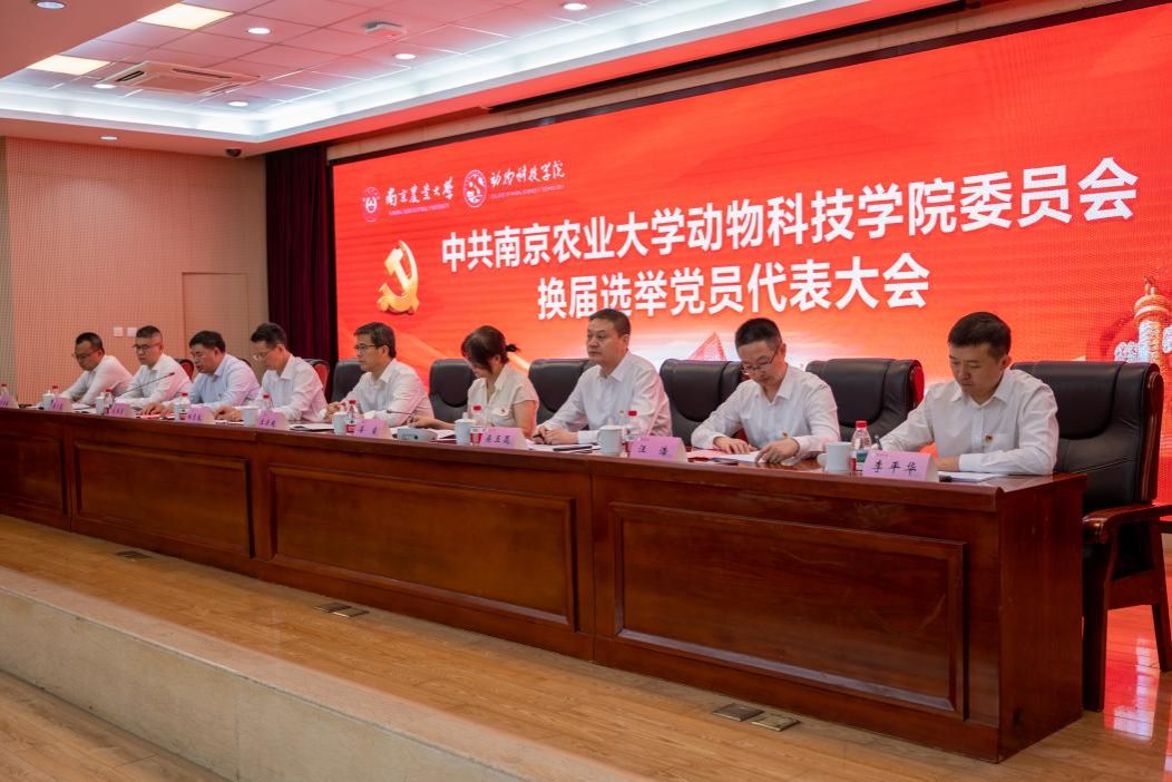 2026世界杯官网