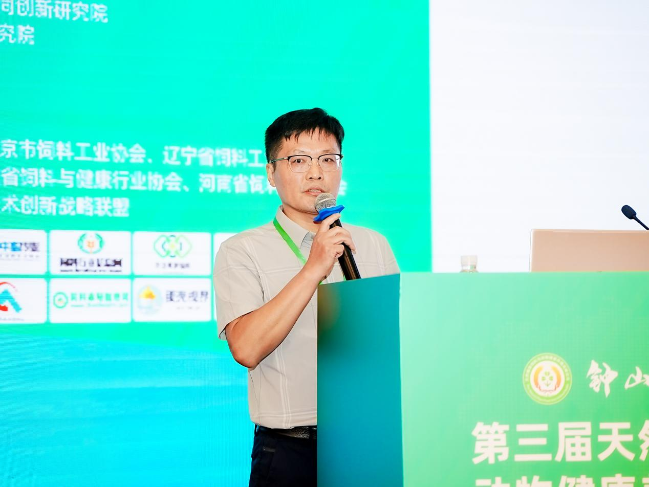 2026世界杯官网
