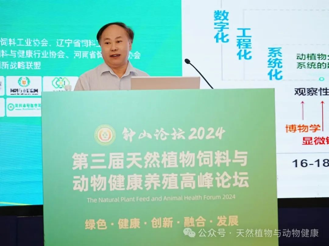 2026世界杯官网