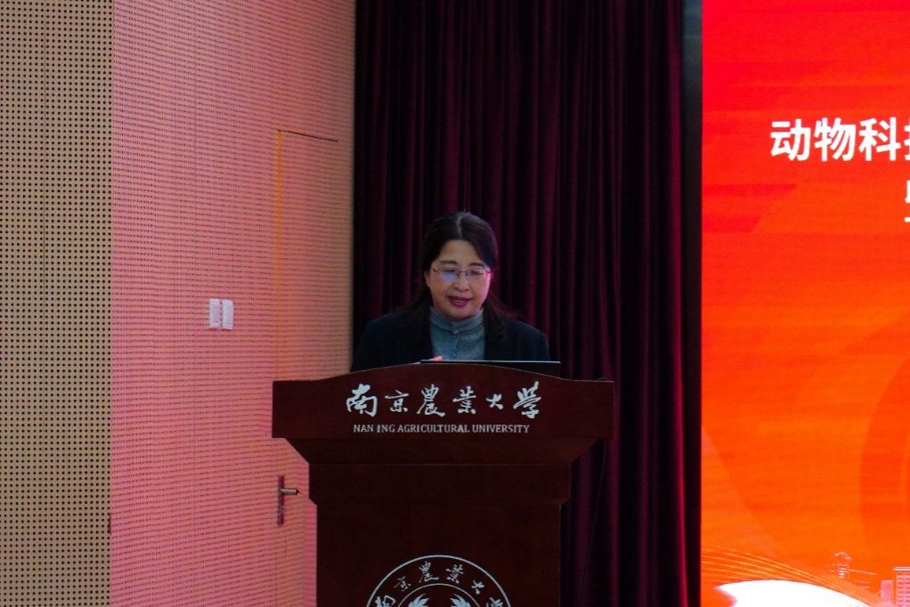 2026世界杯官网