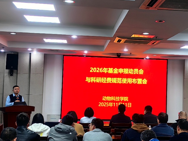 2026世界杯官网