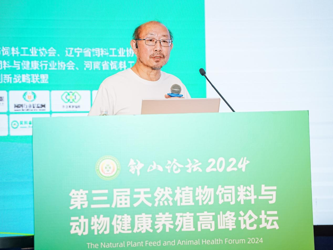 2026世界杯官网