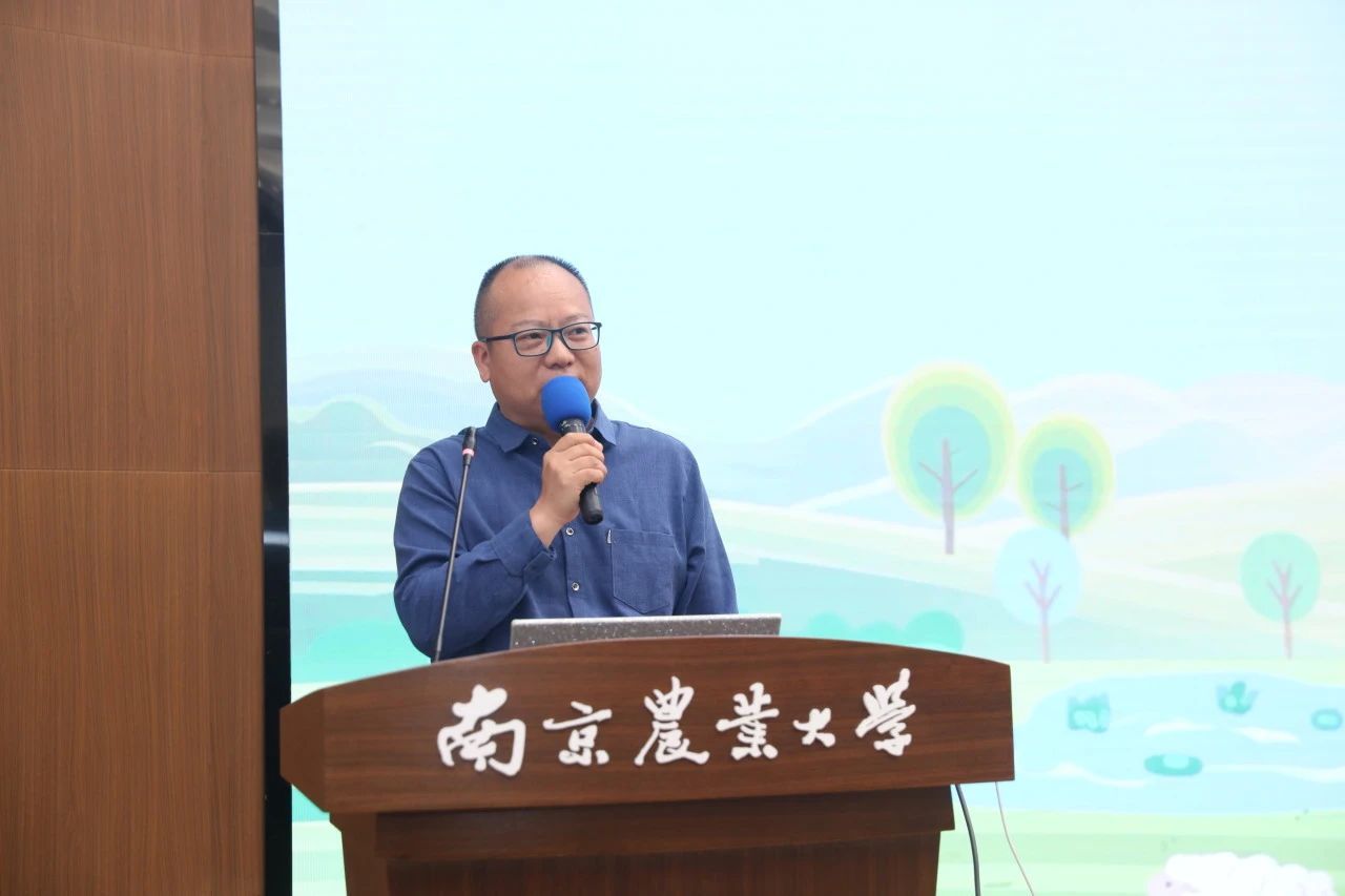 2026世界杯官网