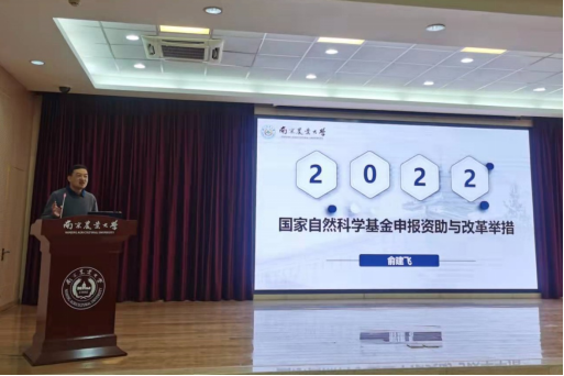 2026世界杯官网